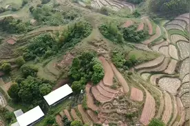好漂亮的老虎！村民管这座山叫——老虎捕羊山视频封面