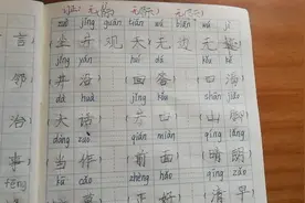 无边无际的际总写错，怎么办？视频封面
