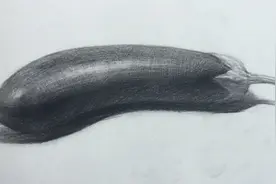 素描茄子的画法。