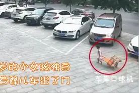 2岁萌娃竟然自己拉着自己的婴儿车出门“溜达”!遇见警察“秒怂”视频封面