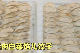 阿志包许多猪肉白菜馅儿饺子，放冰箱冷冻，还是白菜馅儿好吃视频封面