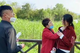 中暑了想吐，爸妈按着小美拔痧，老肖说像杀猪一样视频封面