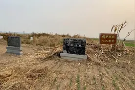 德州市齐河县焦庙镇冯李村有一座汉墓，是省级文物，如今荒草连天视频封面