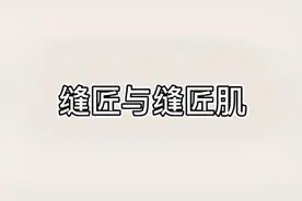 缝匠肌与腿膝部疼痛视频封面