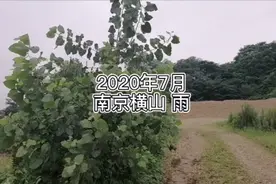 抓住黄梅雨季的尾巴，带着小孩来了趟捡石之旅，有收获有遗憾。