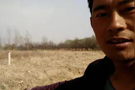 宅基地被放光缆输油管道标志😅️，老板很犯愁！大家请支招🙏视频封面