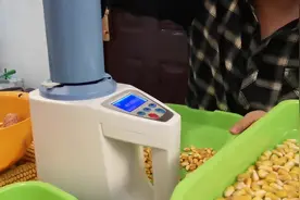 五个高产玉米种子，百粒重，水分对比，先玉改良335容重第一名。视频封面