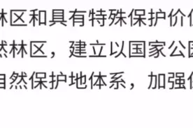 中华人民共和国新森林法视频封面