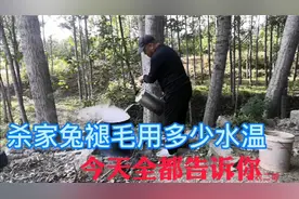带皮的兔肉好吃，你知道用多少度的水温褪毛吗？这个温度才行视频封面
