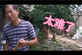 农村左邻右舍的猫，经常到我家偷吃东西，看看我这样做行吗？视频封面