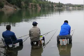 奇闻！汾河柴西桥下，据说钓上过六七十斤重的大鱼，不知是真是假视频封面
