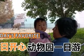 六十多岁公婆晚年终得一孙女，宠爱有加，感谢公婆对宝贝的照顾视频封面
