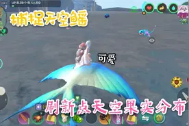 创造与魔法:捕捉天空鳐，以及天空果实分布。