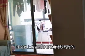 疫情过后，小伙做的行业会越来越火爆，成本费用低，轻松月过上万视频封面