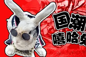 铲屎官第一次给兔子穿衣服，兔子吓得中途逃跑，卫衣变裙子超搞笑