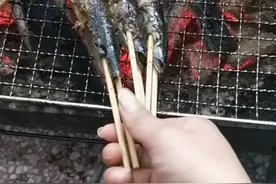 烧烤太黑了不知道吃了会不会搞出毛病