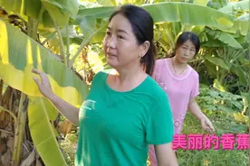 河南农村妈妈来广东，看到许多香蕉树，被这美丽景象迷的惊叹不已视频封面