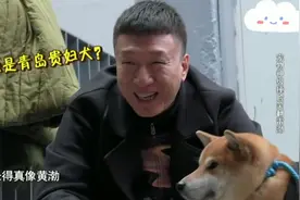 还记得和黄渤撞脸的那只狗嘛视频封面