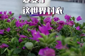 #广州首座跨珠江人行桥 #海心桥 终于开通了 下次我们一起来打卡吧 #梁山山 #肥仔米与甜心先生视频封面