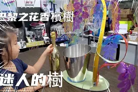 巴黎之花香檳樹 The Enchanting Tree 迷人的樹视频封面