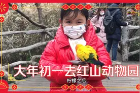 看了红山动物园园长的视频，因为疫情动物园亏损严重，要支持一下视频封面
