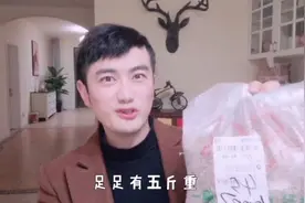 宠物鹦鹉吃什么饲料好？只喂小米？那可不行！这种鸟粮非常好视频封面