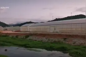 四季绿江西寻乌基地视频封面