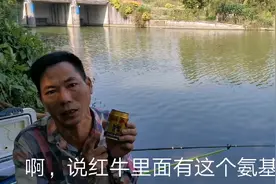 网络流传红牛开饵钓鱼快，真有那么神奇吗？看看野钓实战效果！视频封面