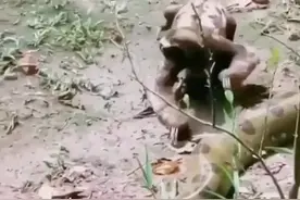 不好意思，只是路过视频封面