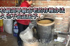 老人担心粮食价格会涨，老人自己用老办法存粮食，两三年不会生虫视频封面