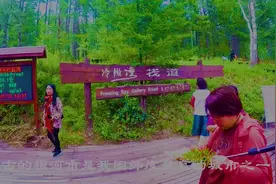 零下40多度的地方-冷极湾视频封面