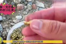 世界上最贵的石头，一克10亿，治癌圣物视频封面