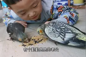 老公勤勤恳恳，孩子乖巧懂事，萌宠温顺可爱，生活真美好！视频封面