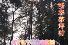 四川宣汉新华镇，去巴山大峡谷的第一站，盐店村。视频封面