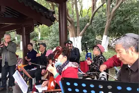 器乐合奏同名电影插曲《马兰花开》，雷振邦先生作的曲子就是好听视频封面