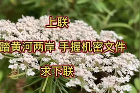 对联上联“脚踏黄河两岸 手握机密文件”请大神对出下联视频封面