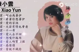 陈小云经典歌曲选集。
