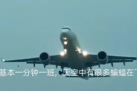 自从空港花田看飞机要收门票后，如今的现状是这样的！视频封面