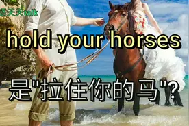 英文hold your horses 意思是"拉住你的马"?老外懵圈了视频封面