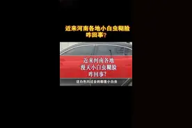 河南各地小白虫漫天飞，一条朋友圈信息被疯转，真相来了！视频封面