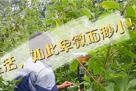 真的只是十年测量一场空吗？在缅甸山林的艰难岁月，以身试教！视频封面