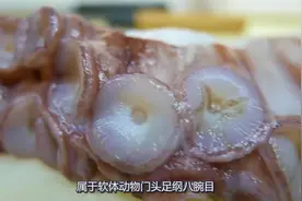 这才是章鱼腿的正确吃法，切得过程都是享受，好好学学吧！视频封面