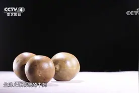 罗汉果既能清热润肺，又能生津止咳，特别适合代茶饮服用视频封面