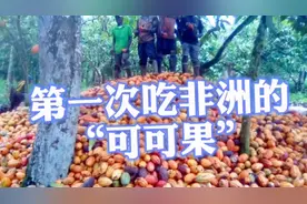 第一次吃非洲的“可可果”，像是在吃黑巧克力的原材料。