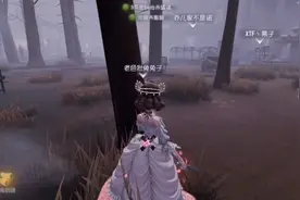 红夫人金皮贝拉夫人实战视频封面