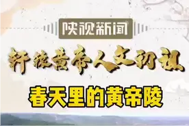 春天里的黄帝陵视频封面