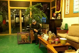 刚买的小狗，晚上叫个不停，怎么办？教你几个方法，让它安静下来视频封面