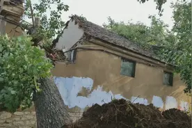 临沂西部8级大风暴雨突袭，村民房屋压塌，到底造成多大伤害视频封面