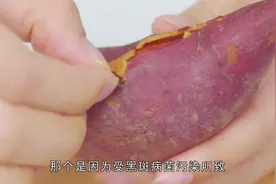 红薯发芽了还能吃吗？红薯发芽有毒吗？什么样的红薯不能吃视频封面