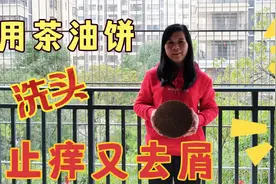 茶油饼的作用非常大，怀集主妇用茶油饼的水洗头，止痒又去屑视频封面